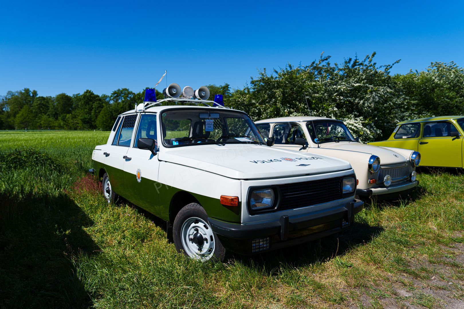 DSC03043.jpg