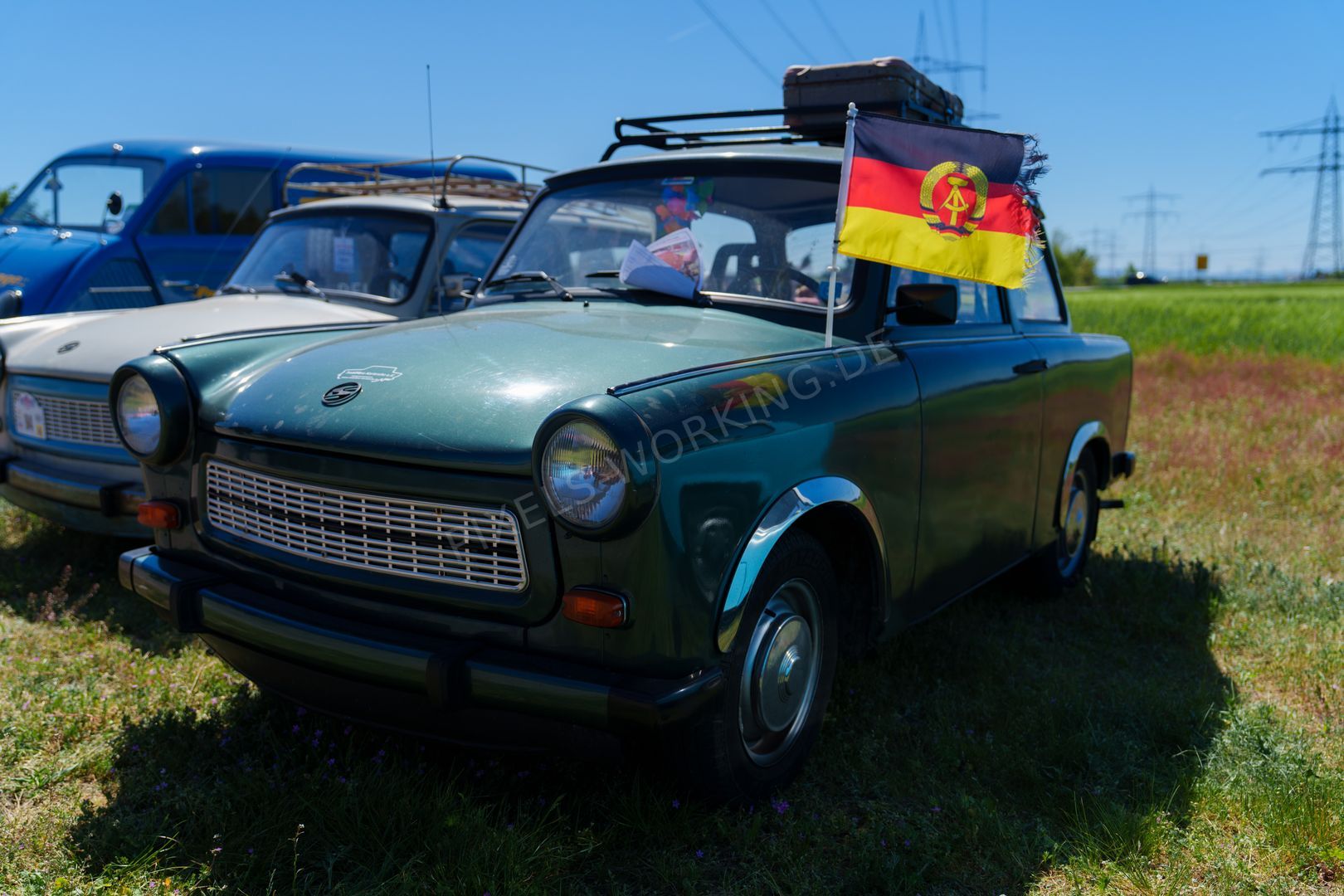 DSC03084.jpg