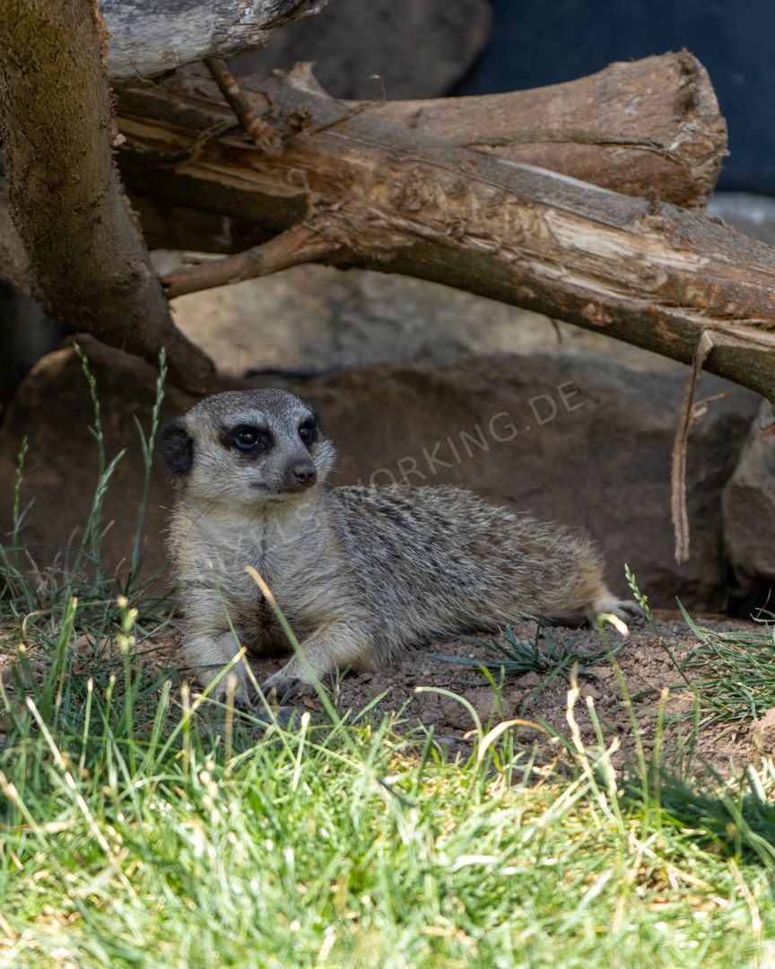MI_DSC08580.jpg